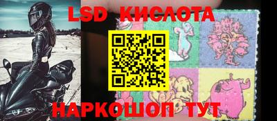 Альфа ПВП Донской