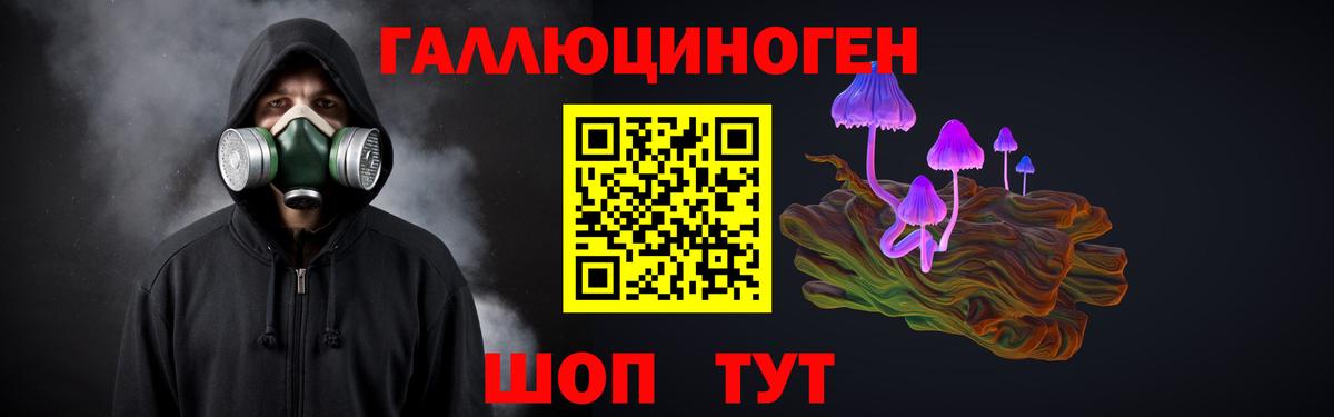 Галлюциногенные грибы MAGIC MUSHROOMS  Вход с VPN  Курчалой 