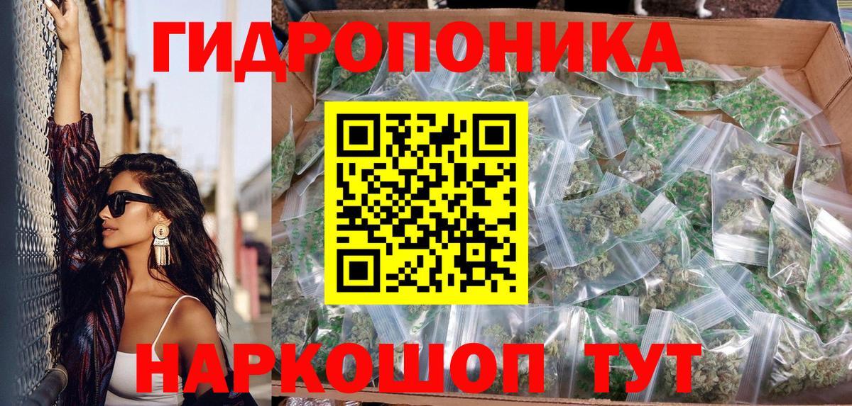 Бошки марихуана White Widow Курчалой